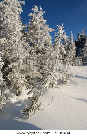 Winter-Hügel