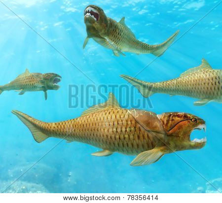 Group Of Dunkleosteus Circling