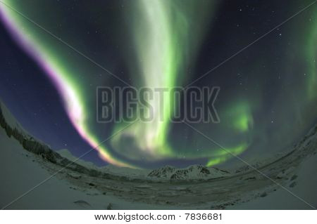 Nordlys, Spitsbergen