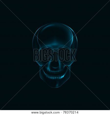 vector illustration of a human  skull x-ray print. medical conce