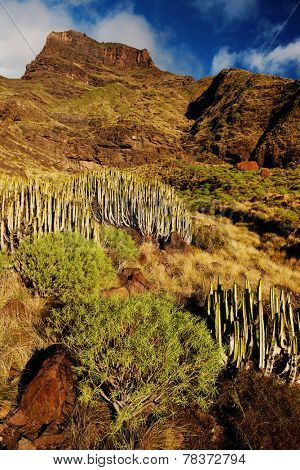 Parque Natural de Pilancones in Gran Canaria, Canary Islands, Spain 