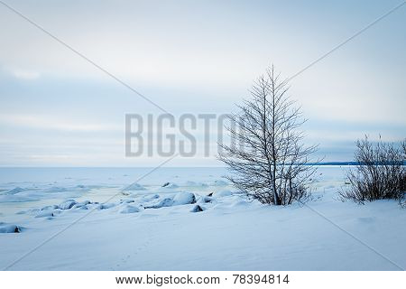 Frozen Icy Coastline Of The Bay