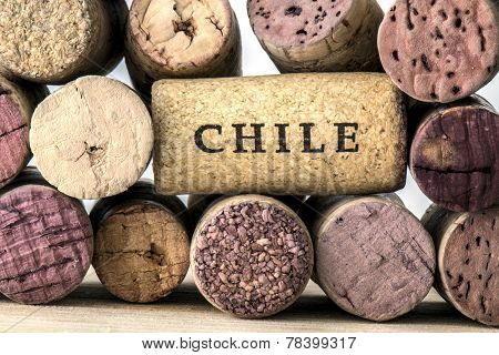 Wine bottle corks of Chile 05