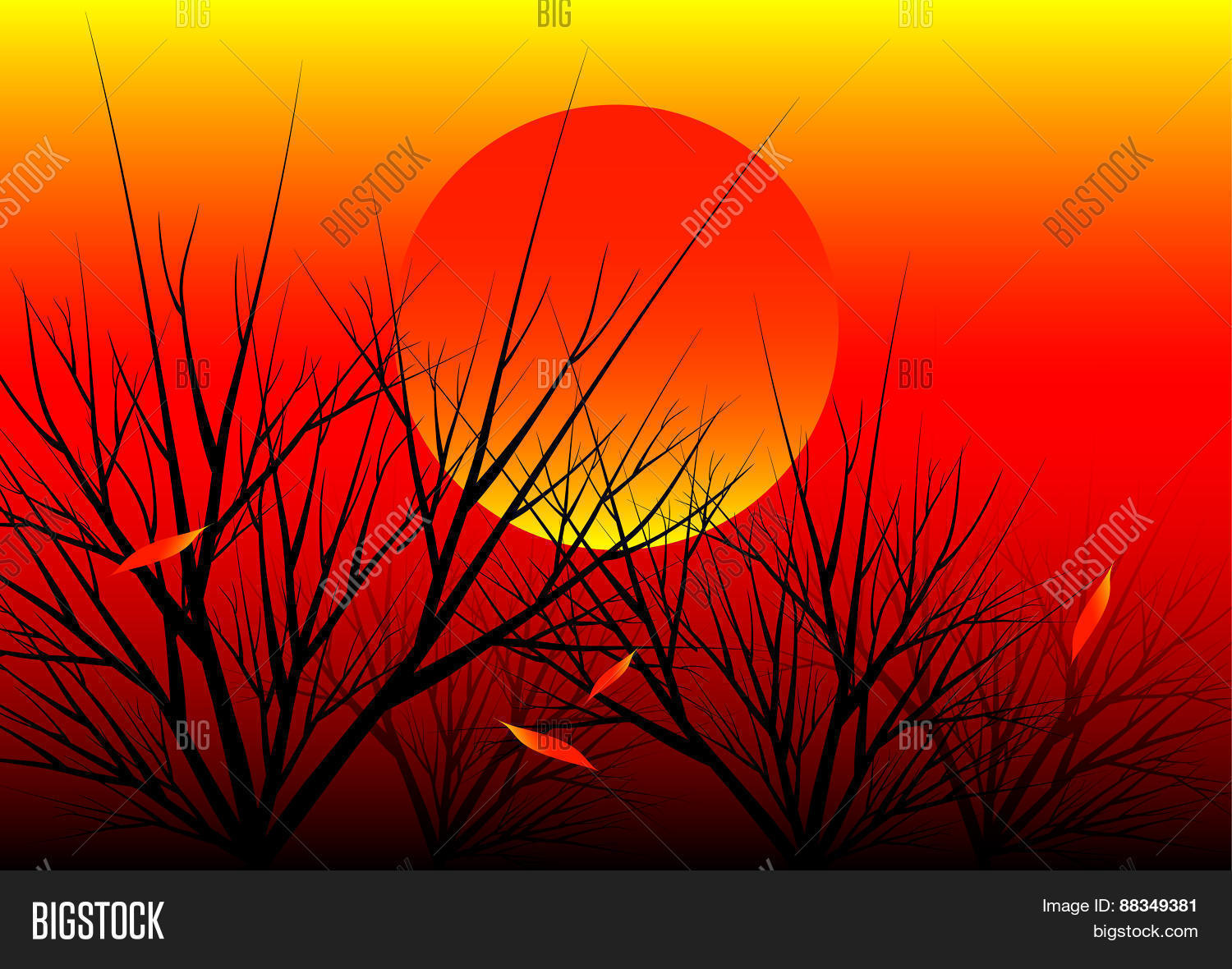Image Preview