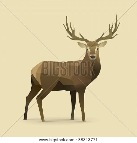 Oh Deer