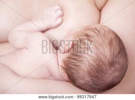 Close-up of a newborn baby breastfeeding