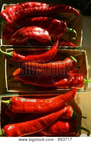 Hete paprika