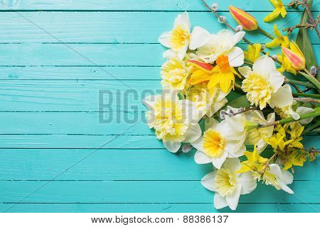 Fresh  Spring  Flowers