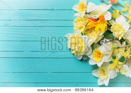 Fresh  Spring  Flowers