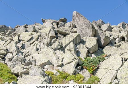 Mountian