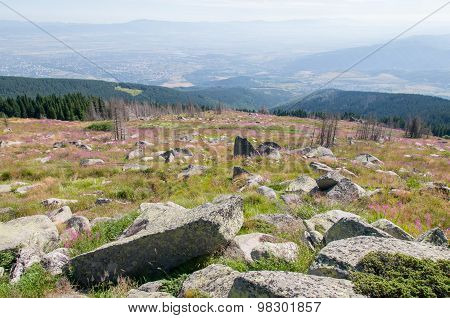 Mountian