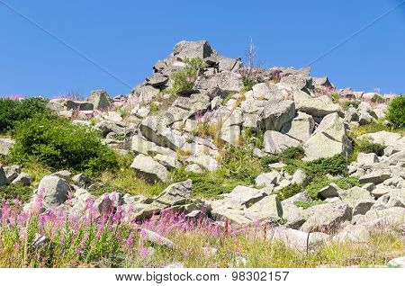 Mountian