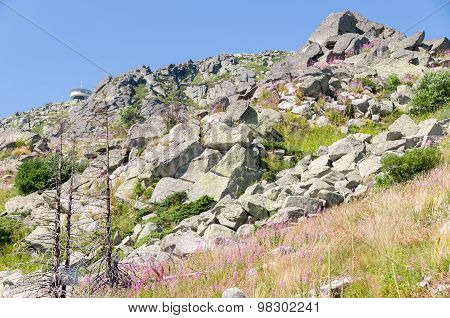 Mountian