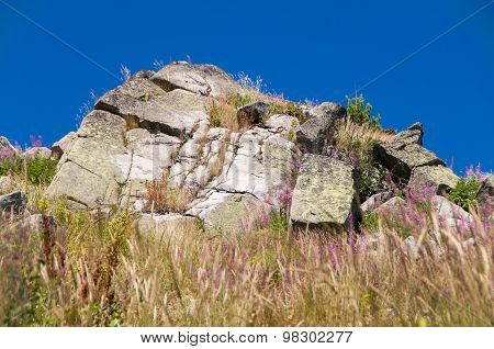 Mountian