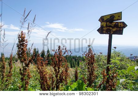 Mountian