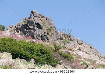 Mountian