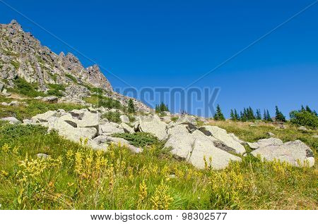 Mountian