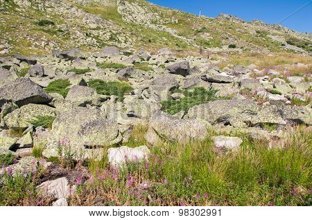 Mountian