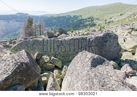 Mountian