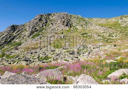 Mountian