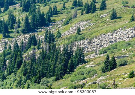 Mountian