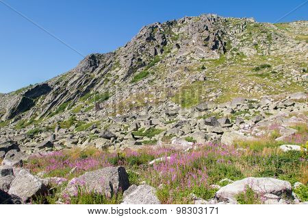 Mountian
