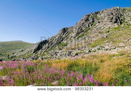 Mountian
