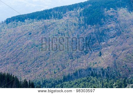 Mountian
