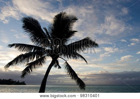 Muri Lagoon In Rarotonga Cook Islands