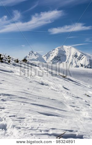 Peak - Wolowiec (volovec)
