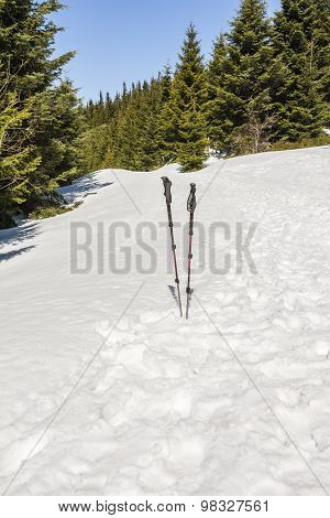 Trekking Poles