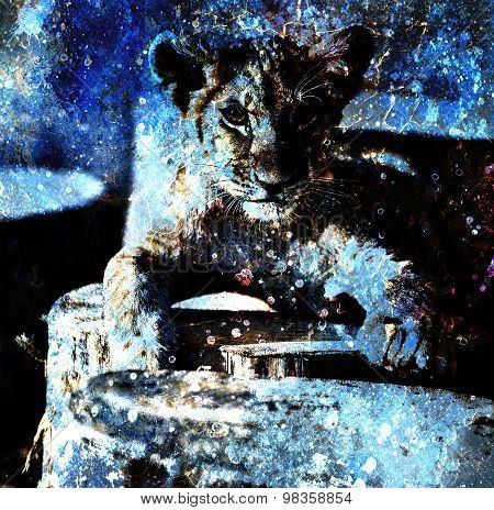Lion cub photos and painting Abstract Collage. Eye contact. Spoots background.