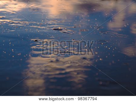Raindrops