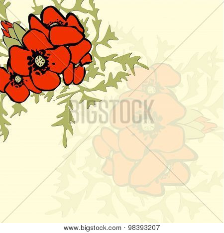 Poppy Floral Background