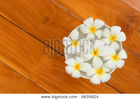 hvid blomst
