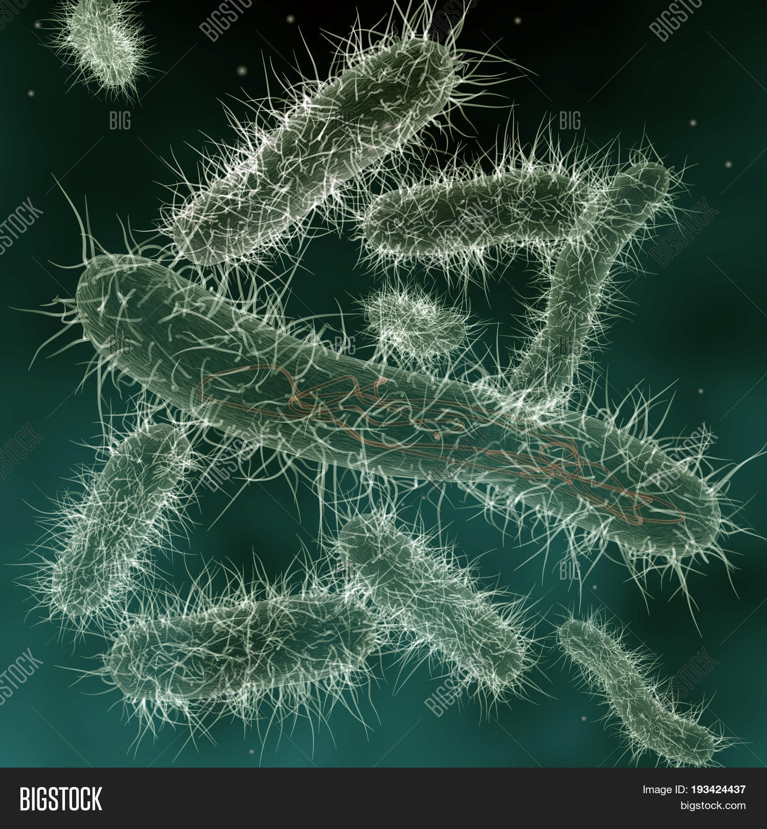 Какие бактерии вызывают гибель рыб. Язва желудка хеликобактер. Необычные бактерии. Какие бактерии вызывают гибель рыб. Бактерия хилорибактер пилори.