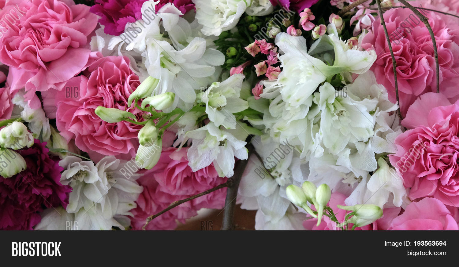 ZAGREB, CROATIA MAY Image & Photo (Free Trial) Bigstock