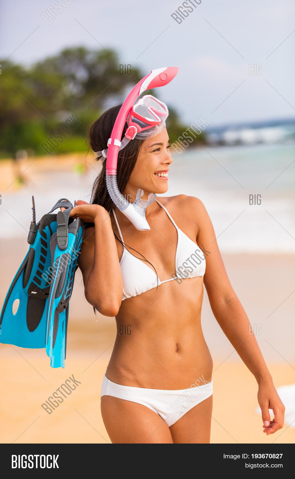 All above free beach bikini photographs Duly free beach bikini photographs congratulate