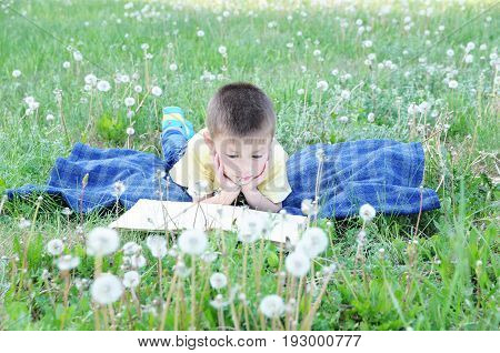 Boy reading book lying on stomach outdoor among dandelion in park smiling cute child children education and developmen. Back to school concept