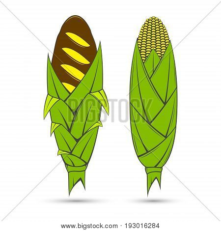 Vector stylized image of a corn bread which is located on the site of the cob corn cob and green with yellow corn.