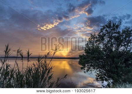 Blue yellow pink orange and purple Carnon-Plage Montpellier sunset above water southern France from shore with vegetation
