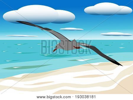 A flying seagull hovers over blue sea