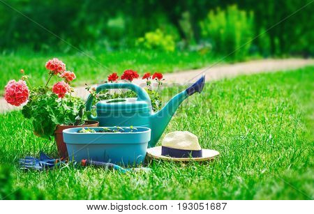 Home gardening and flower-growing still-life of flower in pot with watering can garden tools on green grass.