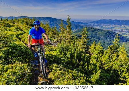 Mountain biker riding on bike in summer mountains forest landscape. Man cycling MTB flow trail track. Outdoor sport activity.
