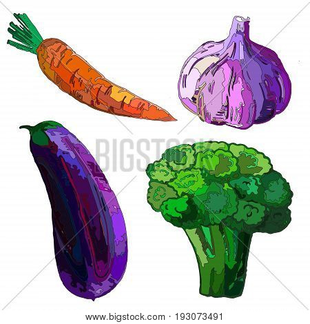 Vegetables, carrot, garlic, eggplant, broccoli, vector illustration