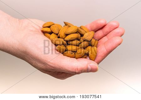 Hand holding a heap of organic almonds