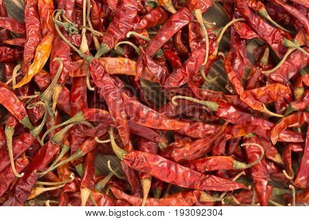 A pile of dried red Chili Peppers