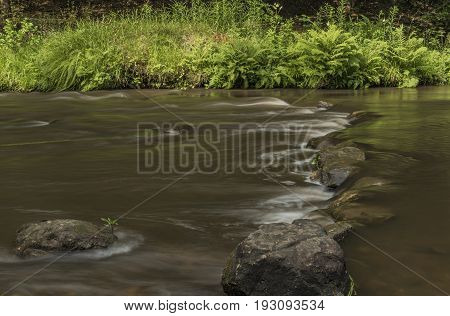 Dolsky mill in national park with old ruin of mill in north Bohemia