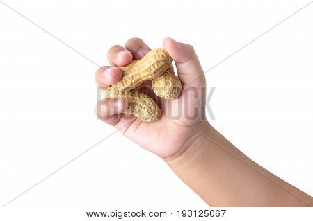 Child's hand holding a peanuts isolated on a white background