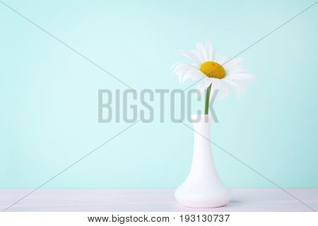 ?hamomile Flower In Vase On Mint Background